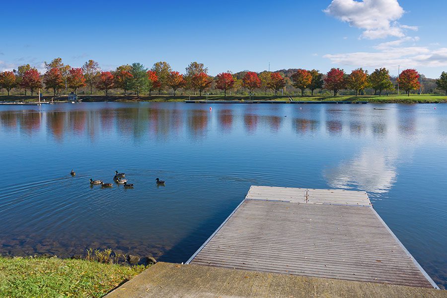 Oak Ridge TN - Peaceful Lake with Ducks and Marina in Oak Ridge Tennessee